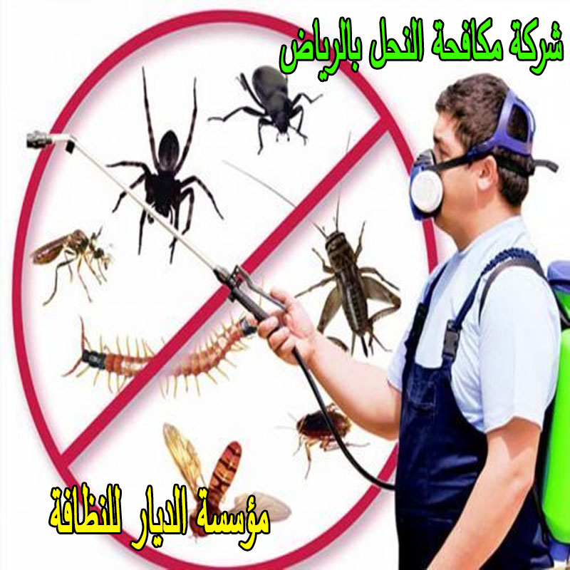 شركة مكافحة النحل بالرياض