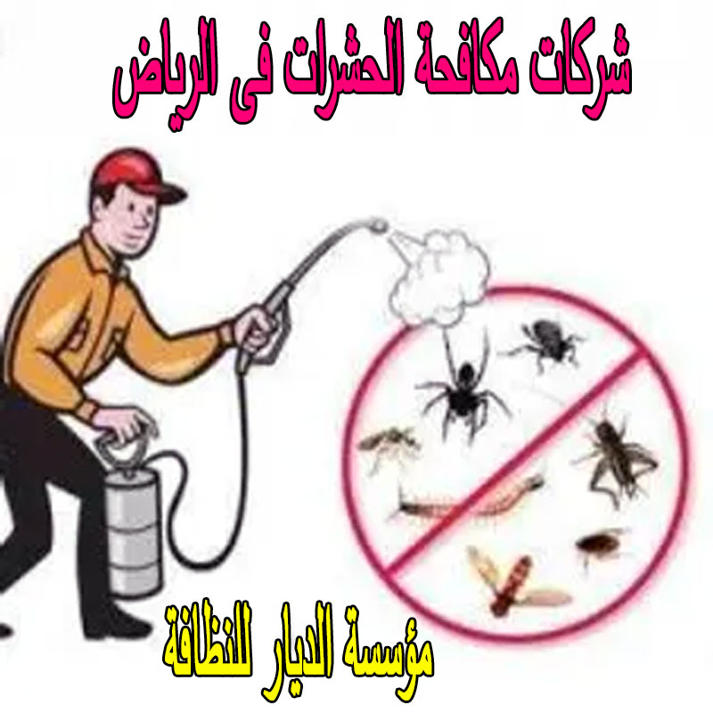 شركات مكافحة الحشرات فى الرياض