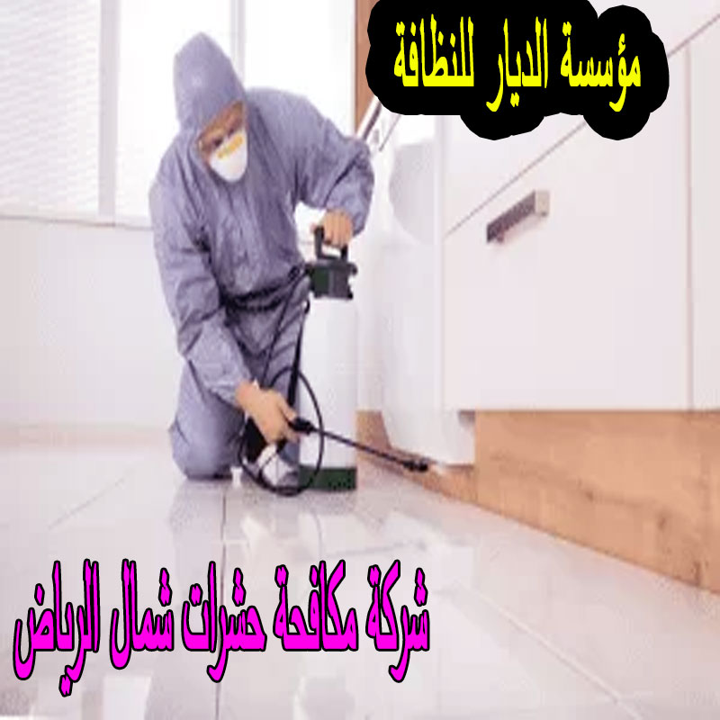 شركة مكافحة حشرات شمال الرياض