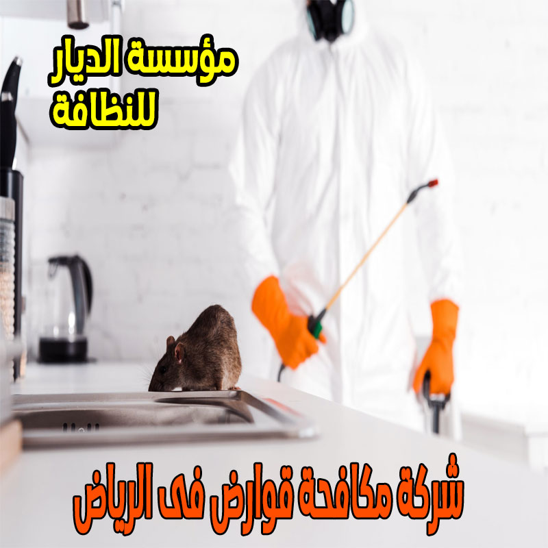 شركة مكافحة قوارض فى الرياض